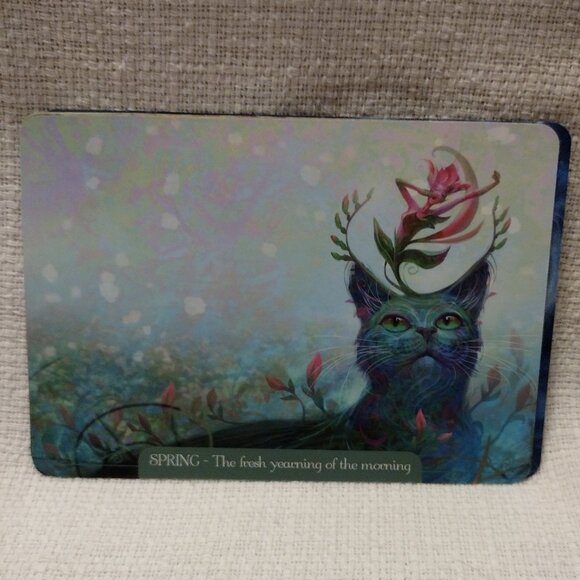 Fantasy Cats Oracle - Picture 10 of 11